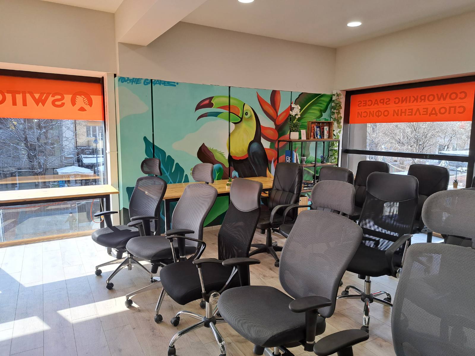 viber_image_2025-02-19_17-25-14-591