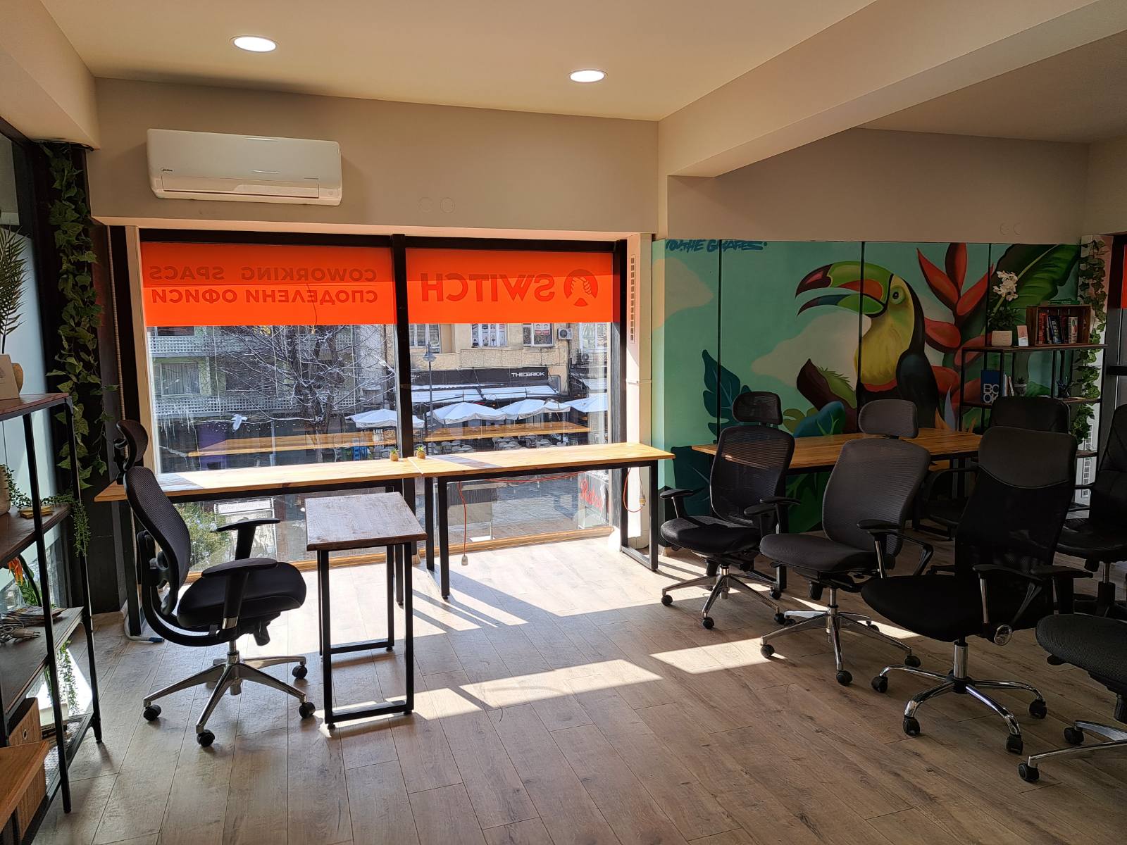 viber_image_2025-02-19_17-25-16-257